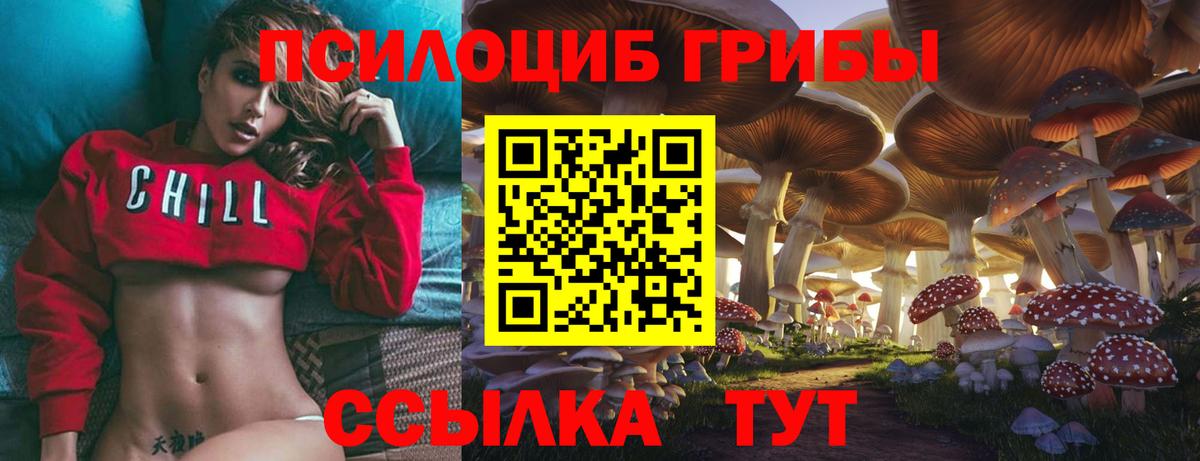 Галлюциногенные грибы Magic Shrooms  Галлюциногенные грибы мицелий  Вход с VPN  купить   Усть-Джегута 